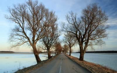 Alkas.lt, Lietuvoje įgyvendinimas ypatingas Baltijos šalyse aplinkosauginis projektas