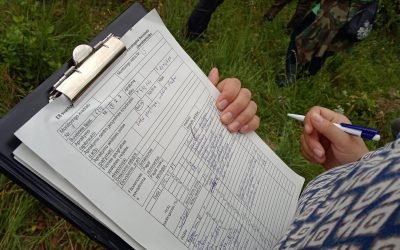 15min.lt, Steigiamas analitinis aplinkosauginis centras, išrinktas vadovas