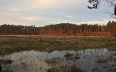 LRT.lt, Festivalis „Vidur girių 2018“ kviečia pavasarį švęsti Dzūkijos gamtoje