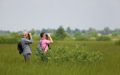 Lietuvos žinios, Saugomų teritorijų tarnyba steigia analitinį centrą
