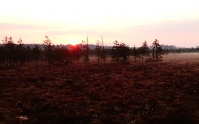 Manokrastas.lt, Šį savaitgalį festivalis „Vidur girių 2018“ kvies džiaugtis bundančia Dzūkijos gamta