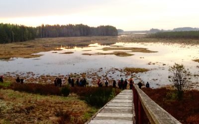 FM99.lt, Festivalis gamtoje „Vidur girių“ kviečia šeimas į Dzūkiją