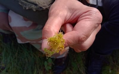 Alkas.lt, Saugomų teritorijų specialistai gilino žinias gamtos stebėjimo srityje