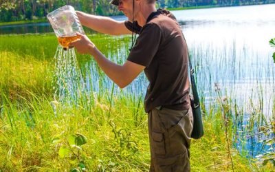 Lrytas.lt, Šimonių girioje ekspertai ištyrė dviejų itin retų vabalų būklę