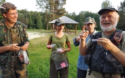 Lietuvos aidas, Gamtosaugos ekspertams pavyko aptikti Europos retenybę – Manerheimo grybinuką