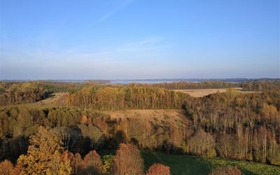 Laikraštis Plungė, Kviečia teatralizuotas festivalis „Miško burtai“