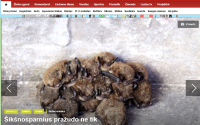 Lrytas.lt, Šikšnosparnius pražudo ne tik smalsuoliai, bet ir benamiai bei metalo vagys