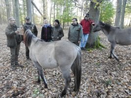 Ekspertai su teritorijoje laisvais laikomais arkliais