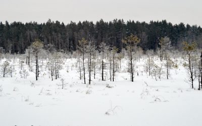 Regionų naujienos, Gamtosaugos ekspertų laukia intensyvūs metai
