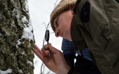 Uzmiskus.lt, Gamtosaugos ekspertų laukia intensyvūs metai