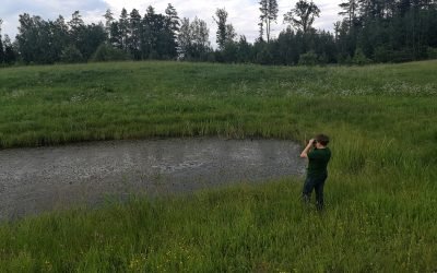 Tęsiame žaidimą – reti, paslaptingi ir saugomi. Ar žinote, kas palieka tokį pėdsaką?