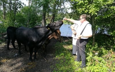Domėdamasis inovatyviu projektu, vyskupas D. Trijonis apsilankė Pabiržės pusiasalyje