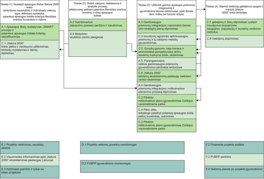 projekto schema