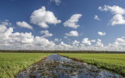 Kviečiame ūkininkus prisidėti prie melioracijos griovių tvarkymo ir jų priežiūros