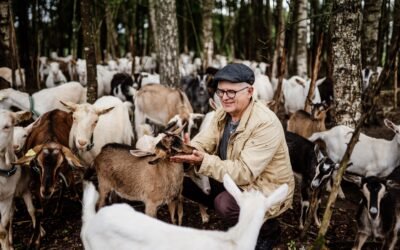 Sūrininko Valdo Kavaliausko ūkis: „Paskui saulę ir ožkas“