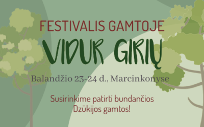 Po dvejų metų pertraukos grįžta gamtos festivalis „Vidur girių“