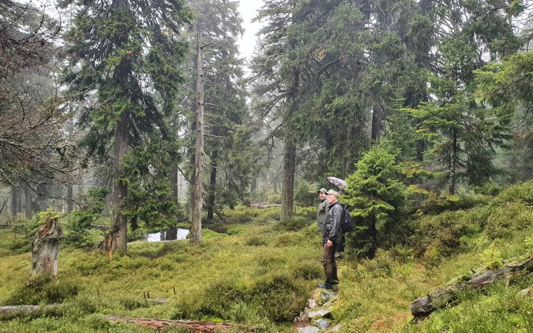 Miško buveinių ekspertai pasisėmė patirties Čekijoje ir Austrijoje