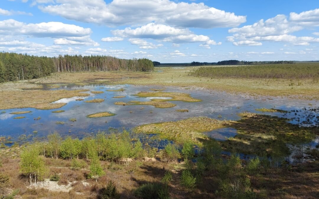 „Natura 2000” diena bus paminėta ir Dzūkijos nacionaliniame parke