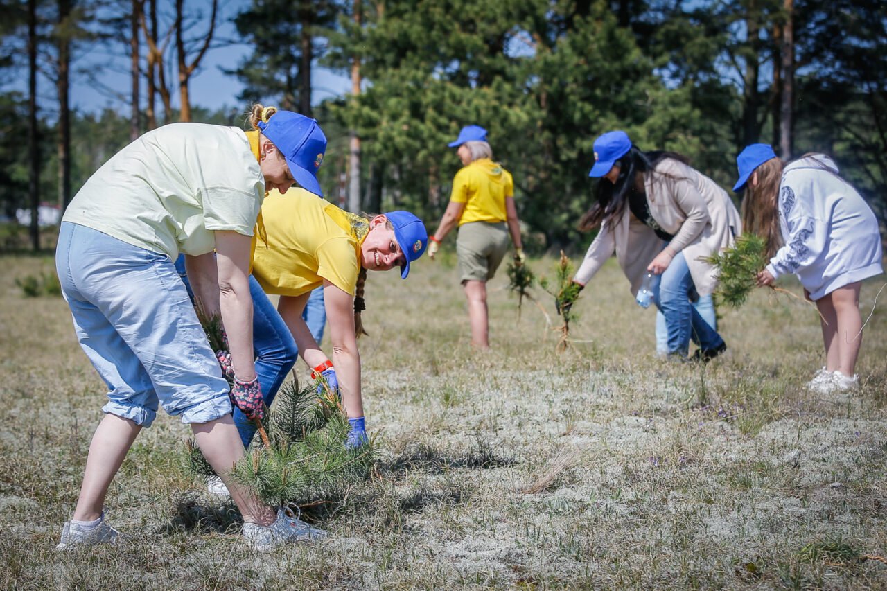 Let's protect together: volunteering in protected areas and its ...