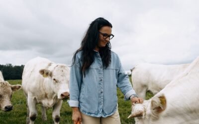 Mišeikių šarolė ūkis: Nemuno užliejamos pievos nesustabdo siekio ūkininkauti atsakingai