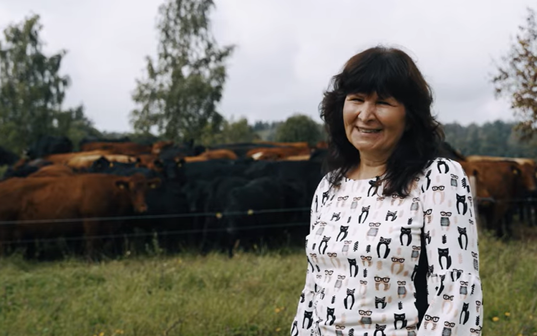 Iš Zarasų pievų tiesiai ant jūsų stalo: Petrėnų šeima kuria aplinkai draugiškos jautienos istoriją