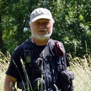 Giedrius Švitra