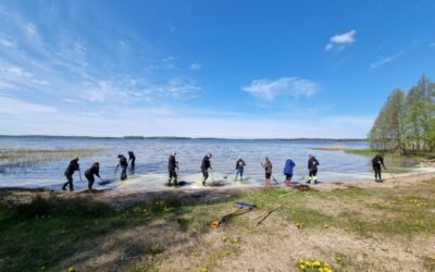 Savanorystė saugomose teritorijose: ką nuveikėme pernai ir kas laukia šiemet?