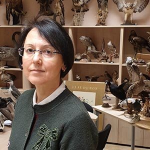 Jolanta Stankevičiūtė